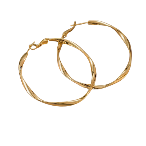 Circle Hoop Earrings